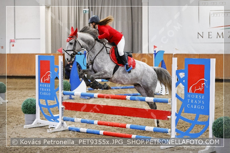 A kép az eredeti csökkentett reprezentációja