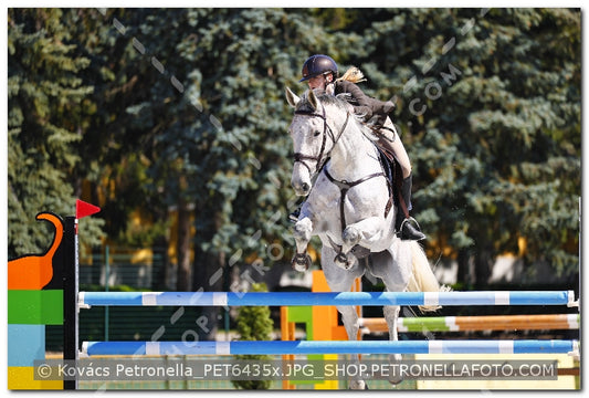 A kép az eredeti csökkentett reprezentációja