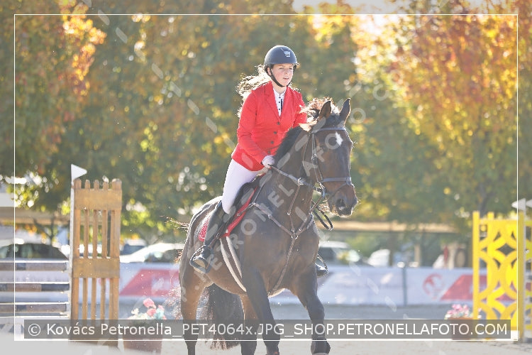A kép az eredeti csökkentett reprezentációja