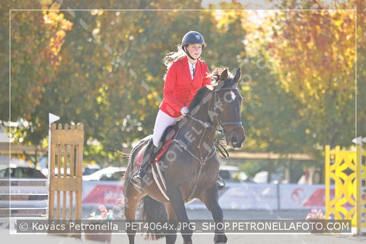 A kép az eredeti csökkentett reprezentációja
