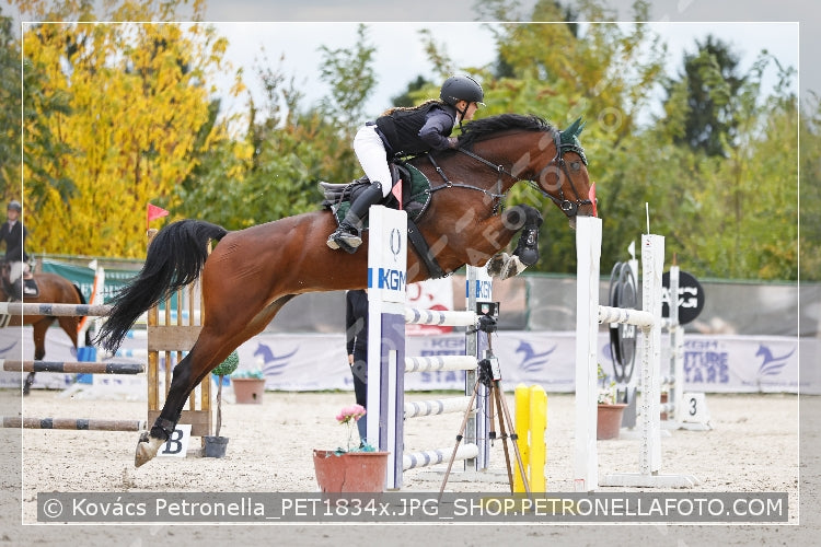 A kép az eredeti csökkentett reprezentációja