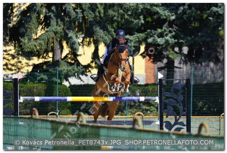 A kép az eredeti csökkentett reprezentációja