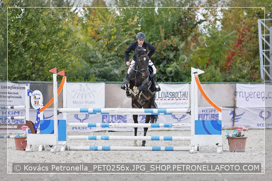 A kép az eredeti csökkentett reprezentációja