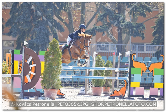 A kép az eredeti csökkentett reprezentációja