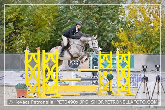 A kép az eredeti csökkentett reprezentációja