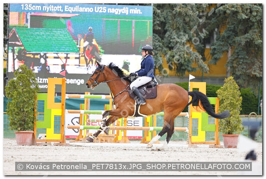 A kép az eredeti csökkentett reprezentációja