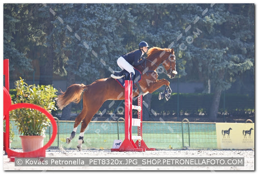 A kép az eredeti csökkentett reprezentációja