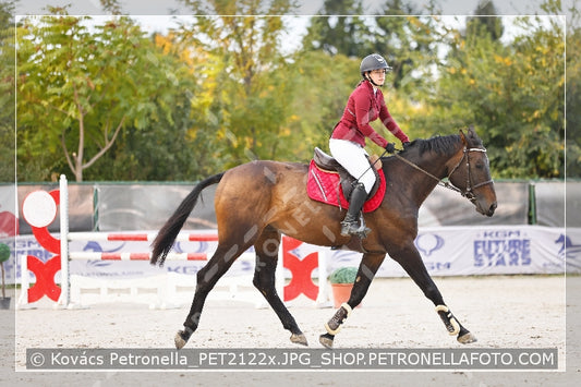 A kép az eredeti csökkentett reprezentációja