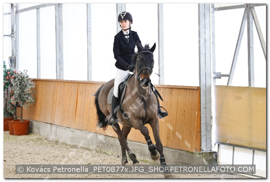 A kép az eredeti csökkentett reprezentációja