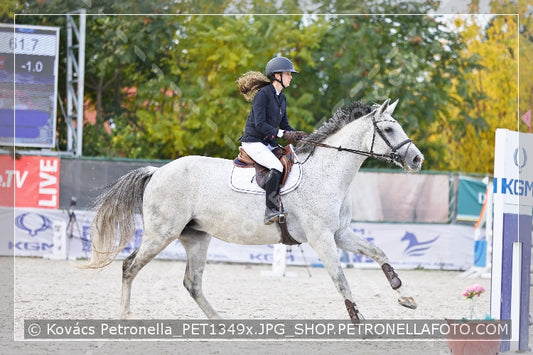 A kép az eredeti csökkentett reprezentációja
