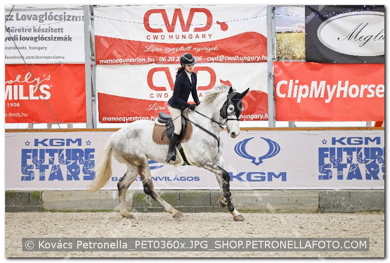 A kép az eredeti csökkentett reprezentációja