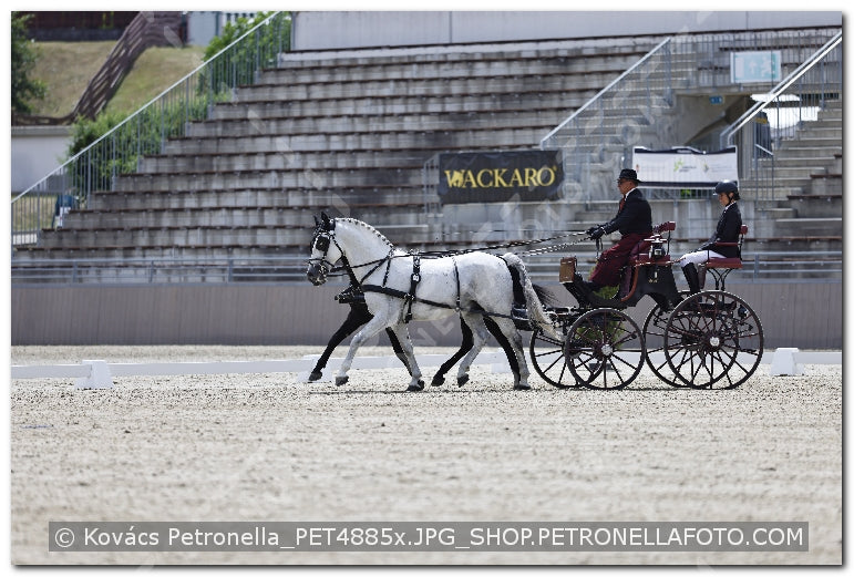 A kép az eredeti csökkentett reprezentációja