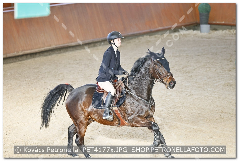 A kép az eredeti csökkentett reprezentációja