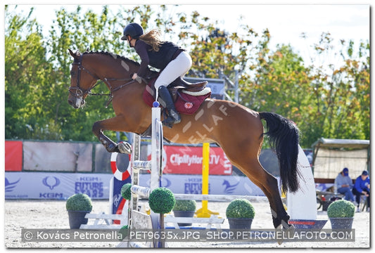 A kép az eredeti csökkentett reprezentációja
