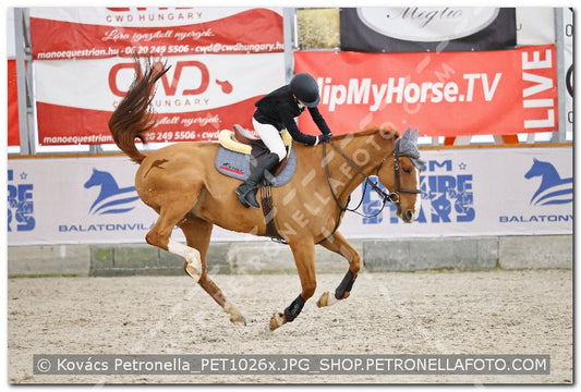 A kép az eredeti csökkentett reprezentációja