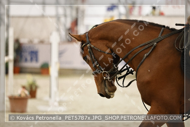 A kép az eredeti csökkentett reprezentációja