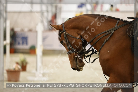 A kép az eredeti csökkentett reprezentációja