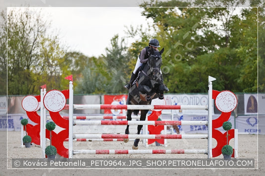 A kép az eredeti csökkentett reprezentációja