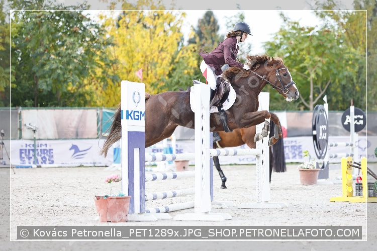 A kép az eredeti csökkentett reprezentációja