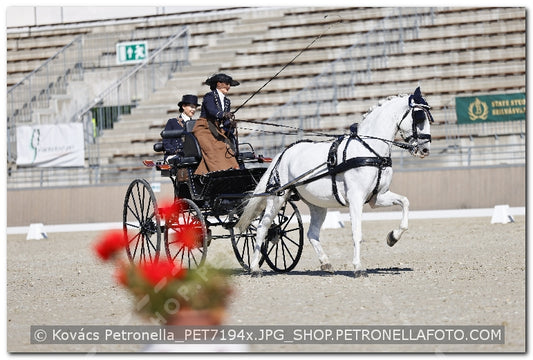 A kép az eredeti csökkentett reprezentációja