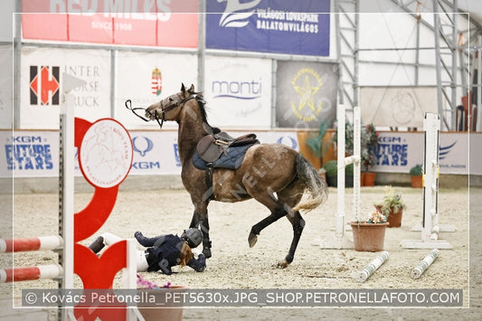 A kép az eredeti csökkentett reprezentációja