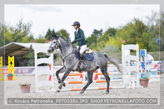 A kép az eredeti csökkentett reprezentációja