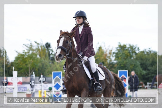 A kép az eredeti csökkentett reprezentációja