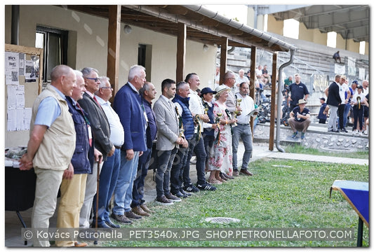A kép az eredeti csökkentett reprezentációja
