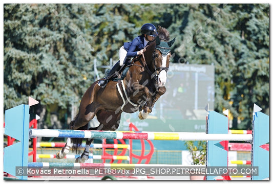 A kép az eredeti csökkentett reprezentációja