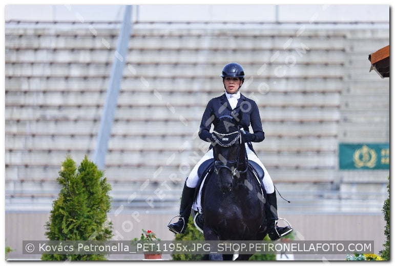 A kép az eredeti csökkentett reprezentációja