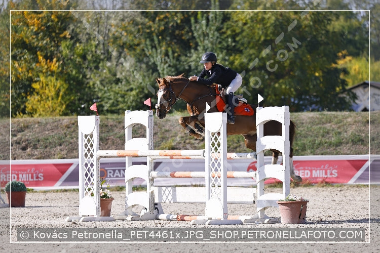 A kép az eredeti csökkentett reprezentációja