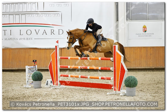 A kép az eredeti csökkentett reprezentációja