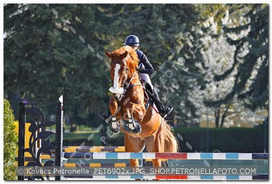A kép az eredeti csökkentett reprezentációja