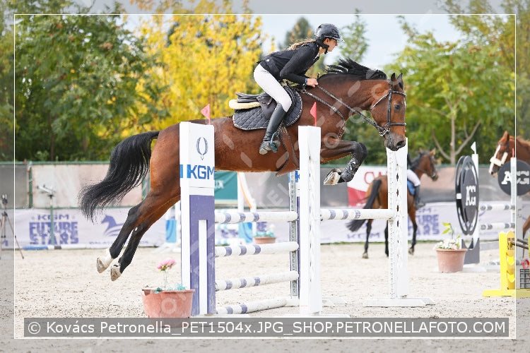 A kép az eredeti csökkentett reprezentációja