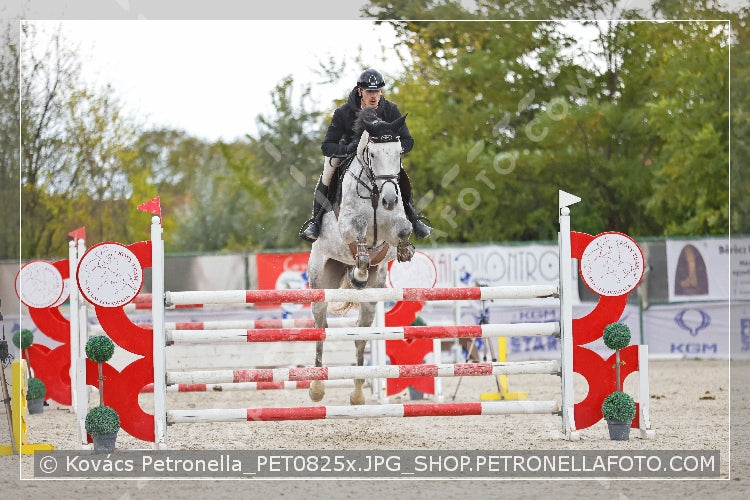 A kép az eredeti csökkentett reprezentációja