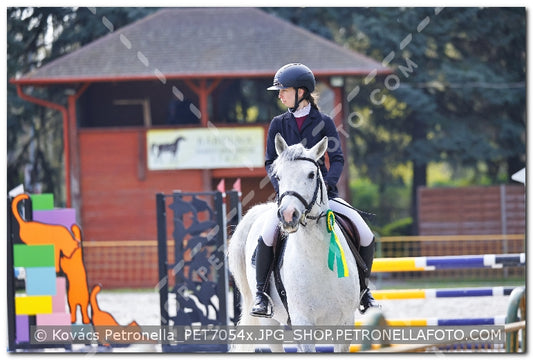 A kép az eredeti csökkentett reprezentációja