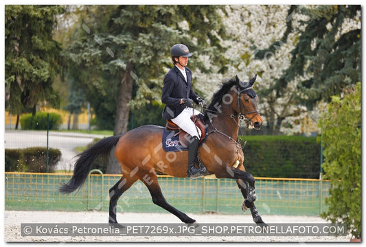 A kép az eredeti csökkentett reprezentációja