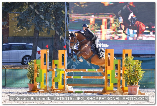 A kép az eredeti csökkentett reprezentációja