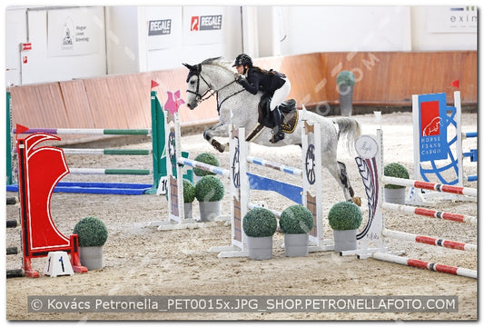 A kép az eredeti csökkentett reprezentációja