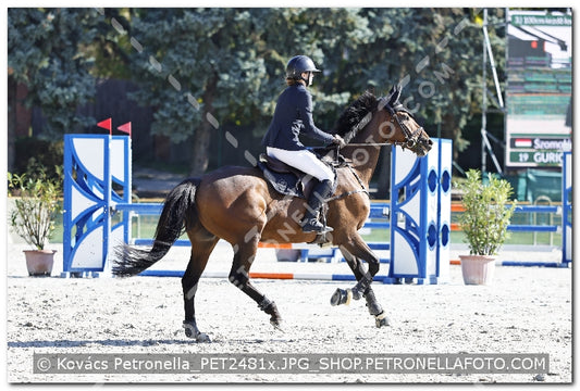A kép az eredeti csökkentett reprezentációja