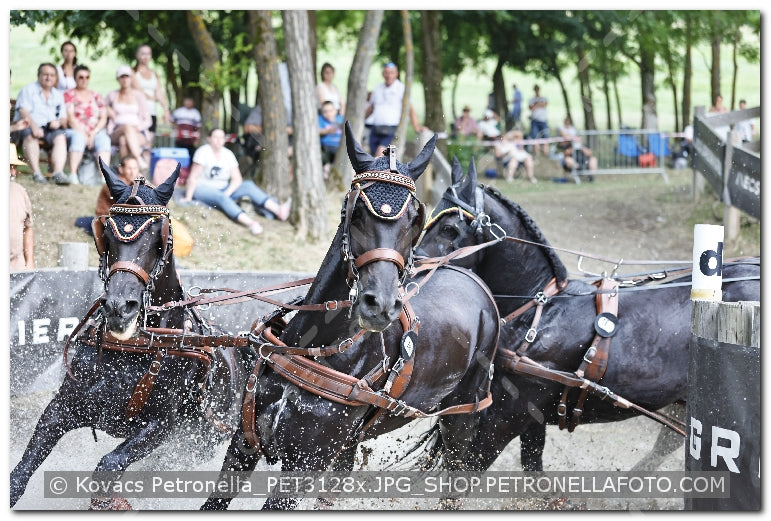 A kép az eredeti csökkentett reprezentációja
