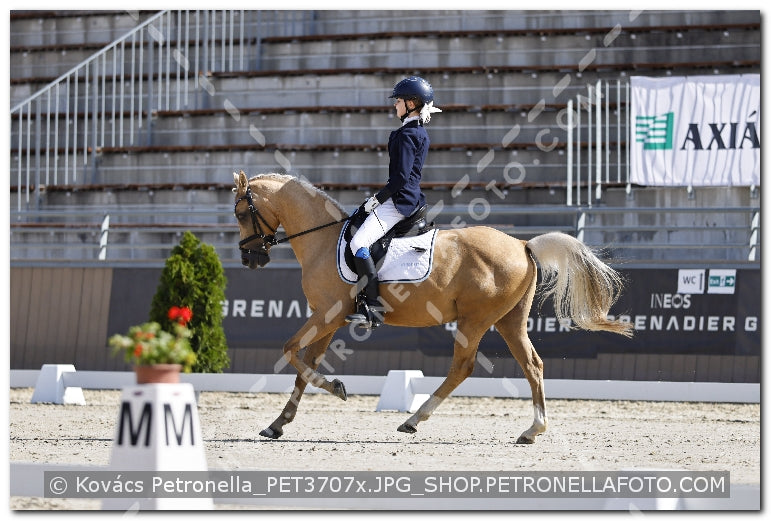 A kép az eredeti csökkentett reprezentációja