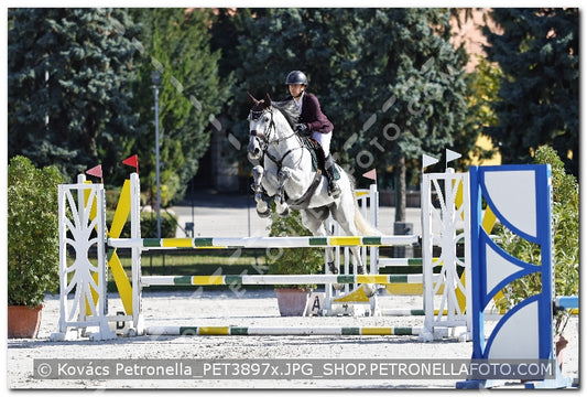 A kép az eredeti csökkentett reprezentációja
