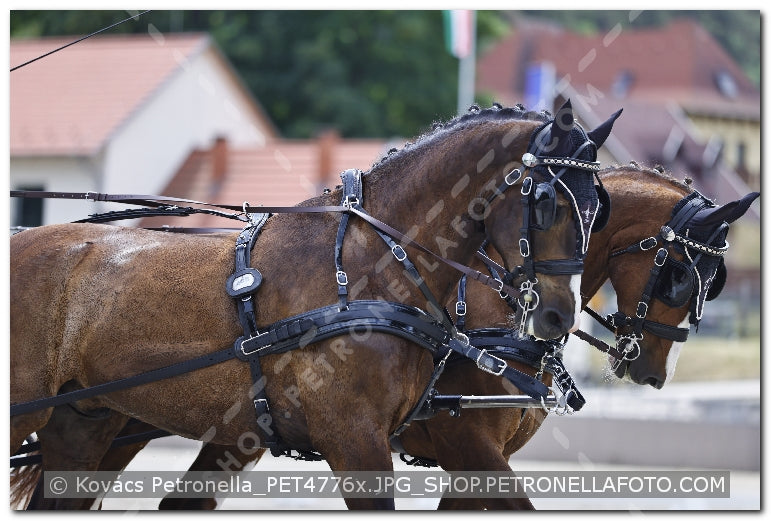 A kép az eredeti csökkentett reprezentációja