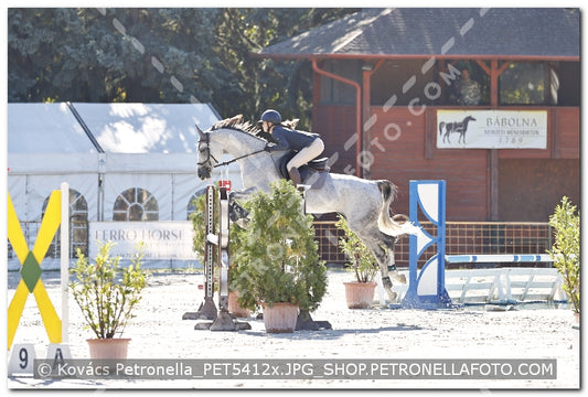 A kép az eredeti csökkentett reprezentációja