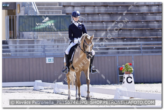 A kép az eredeti csökkentett reprezentációja