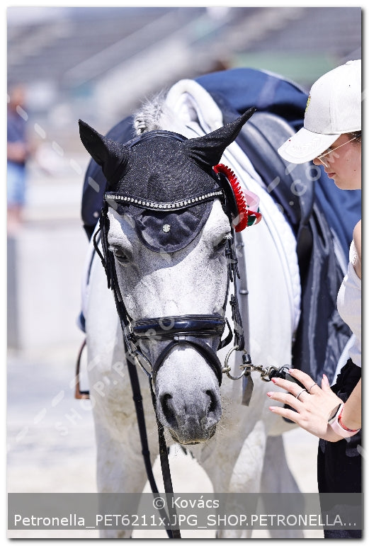A kép az eredeti csökkentett reprezentációja