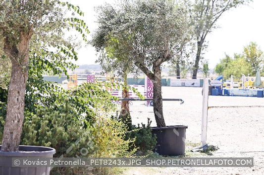A kép az eredeti csökkentett reprezentációja