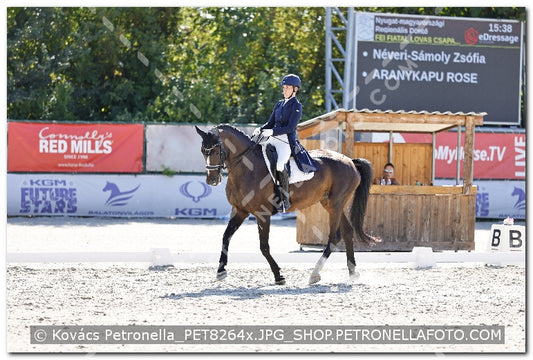 A kép az eredeti csökkentett reprezentációja