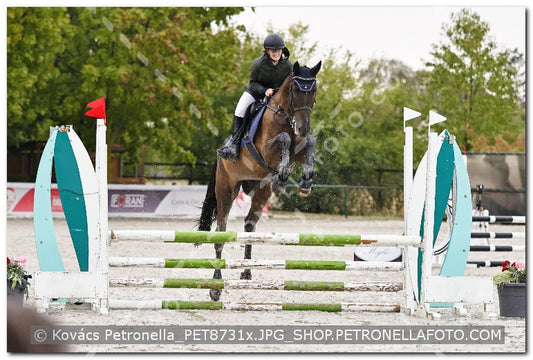 A kép az eredeti csökkentett reprezentációja